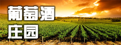 wineyard